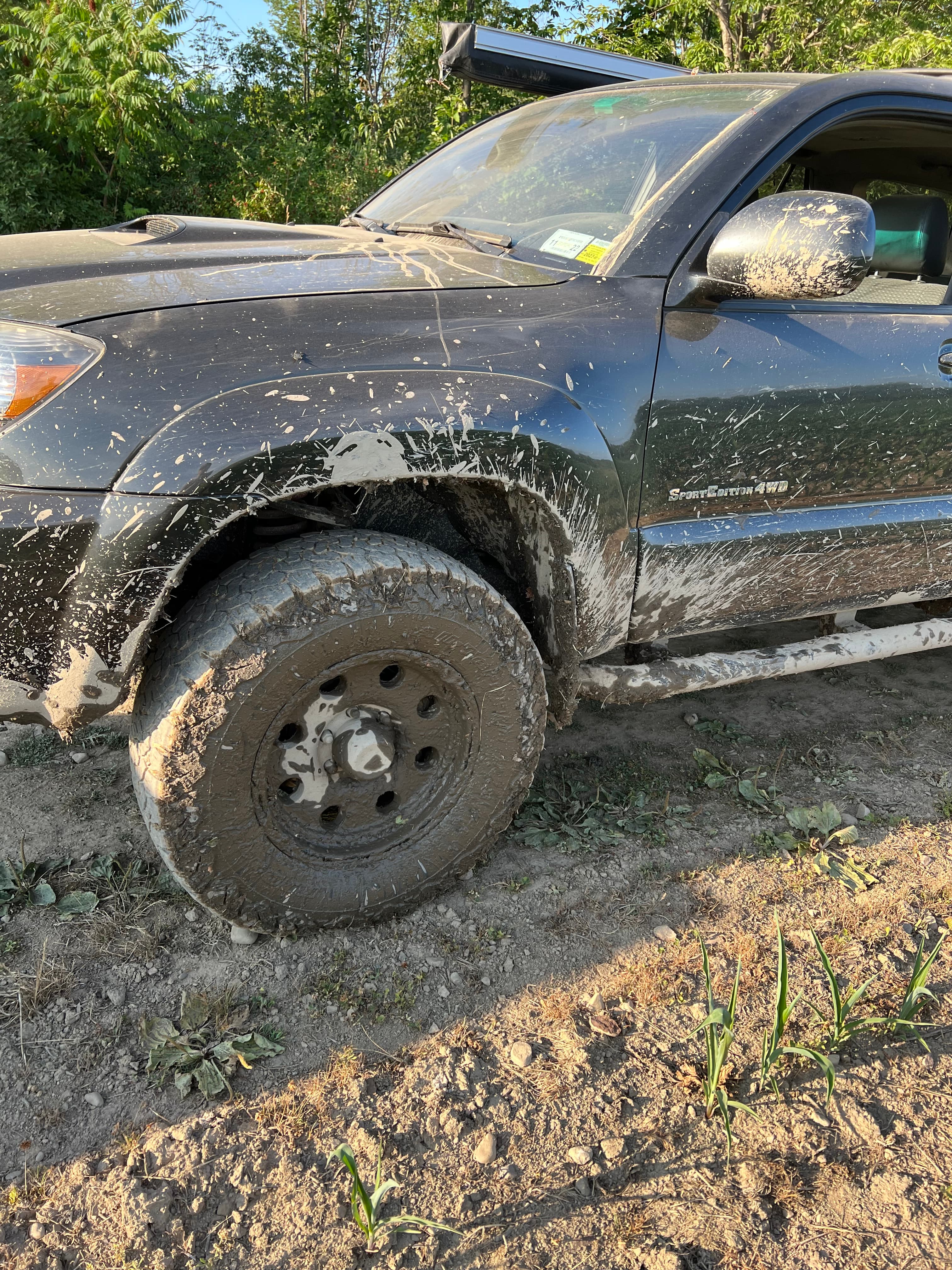 2008 Toyota 4Runner photo 3